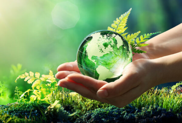 Hands Holding Globe Glass In Green Forest – Environment Concept – Element of image furnished by NASA
